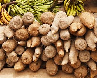 Yam